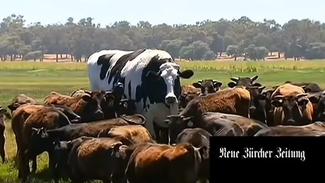 Почему Западная Австралия захотела создать федерацию?