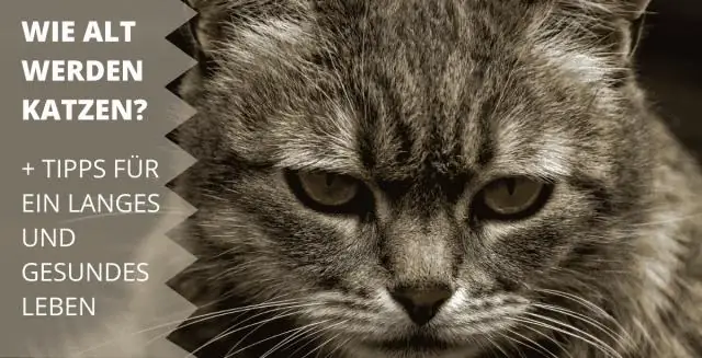 Какой размер у сверхдлинных сдвоенных листов?