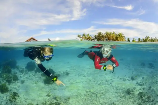 Где я могу заняться сноркелингом в Северной Калифорнии?