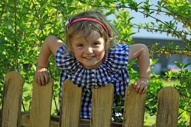 Могут ли медведи перелезть через заборы?