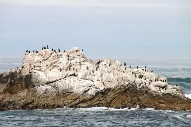 В какое время прилив в Писмо-Бич сегодня?