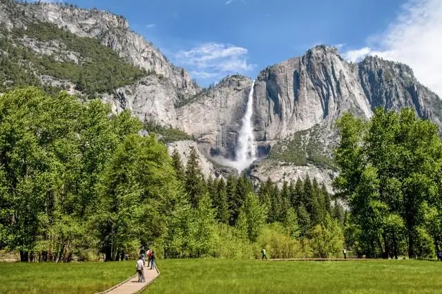 Где мне остановиться между Йосемити и Секвойей?