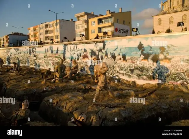 Каков был итог кампании Галлиполи?