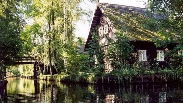 Где можно увидеть диких белух?