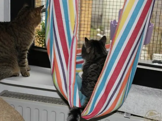 Как повесить гамак в помещении, не повредив стены?