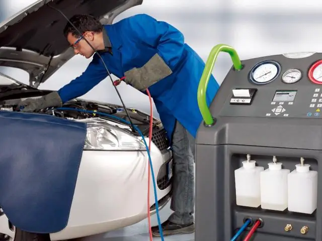 Почему продолжительность жизни осьминогов такая короткая?