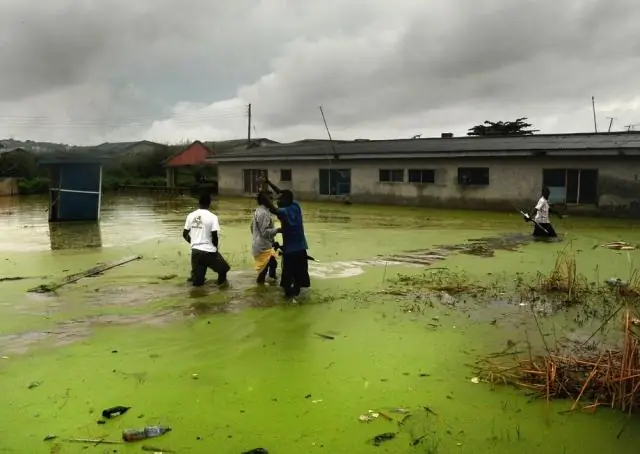 Какой климат в Западной Африке?