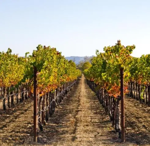 Как далеко Сонома от Герневиль?