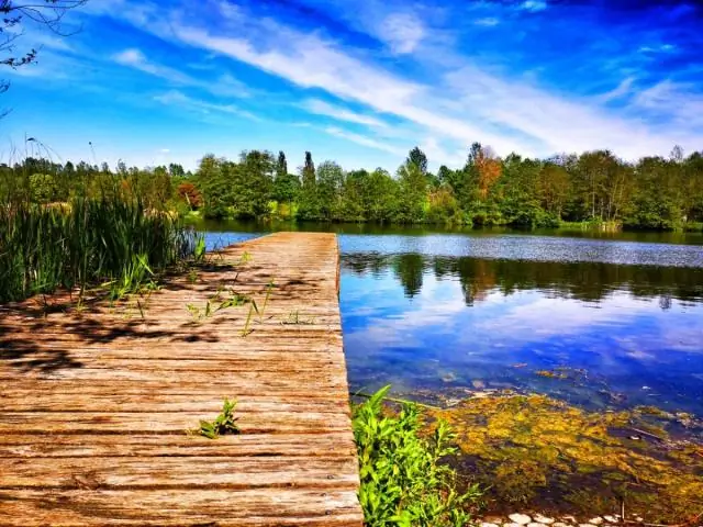 Могу я жить в своем фургоне?