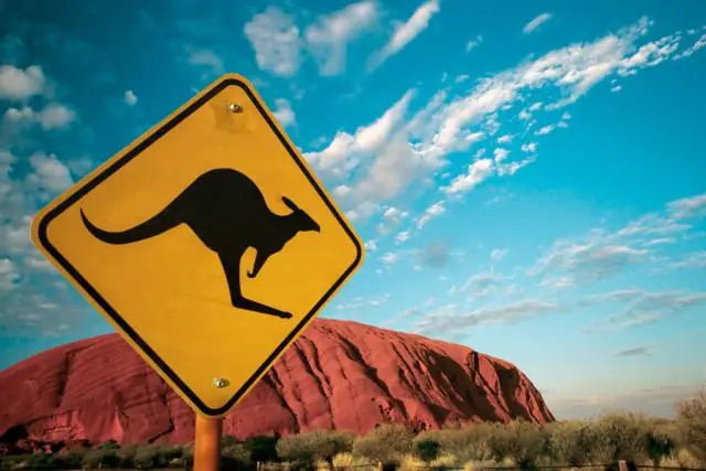 Что такое цепная миграция в Австралии?