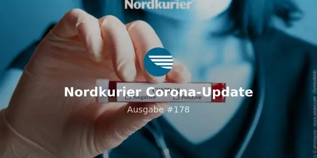 Какой самый высокий улетел воздушный шар?