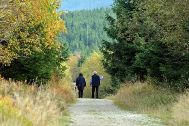 Почему ангельское дерево называется ангельским деревом?