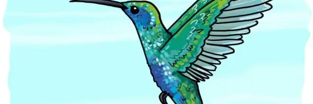 Могут ли слоны рисовать?