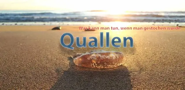 Что делать, если вас ужалила коробчатая медуза?