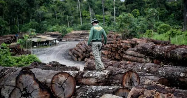 Считается ли Северная Африка Ближним Востоком?