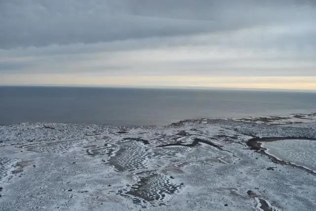 Что живет в Гудзоновом заливе?