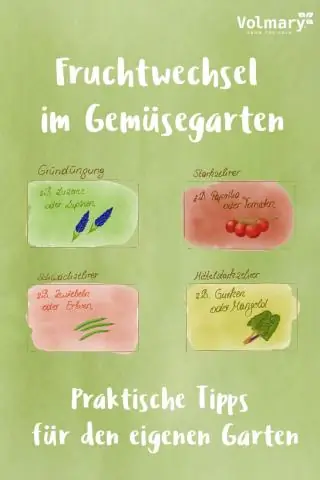 Зачем сажать тыквы?