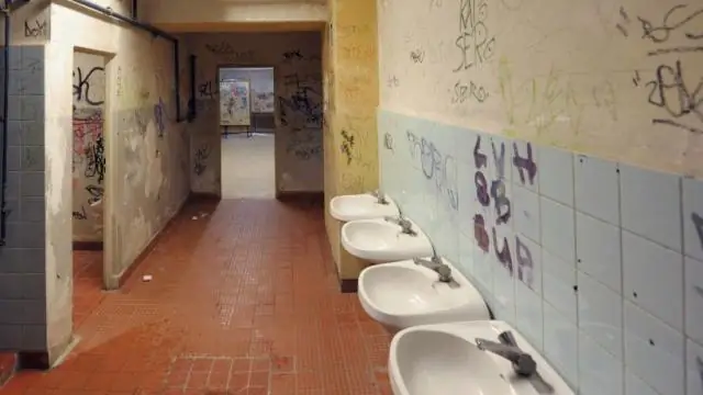 Что такое эстуарная среда обитания?