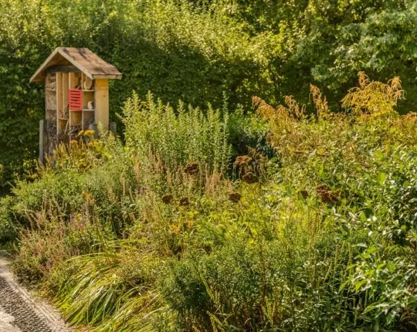 Какие есть приспособления для растений в тундре?