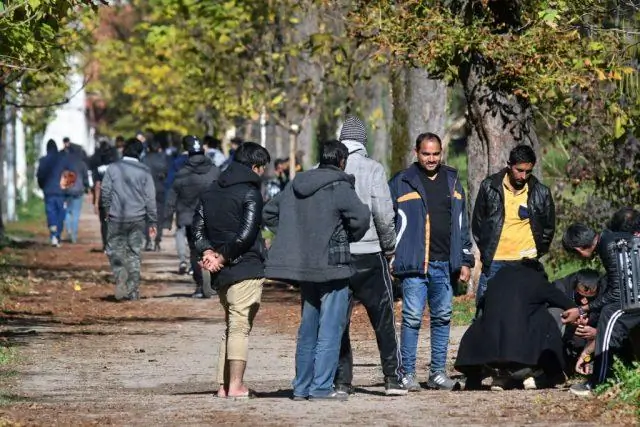 Что проверяют в иммиграционной службе?