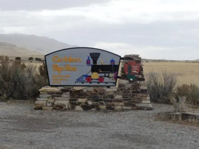 Зачем была построена трансконтинентальная железная дорога?