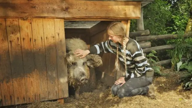 Каково было жить в Алькатрасе?