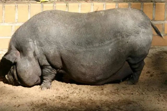 Что такое тур и туристическое агентство?