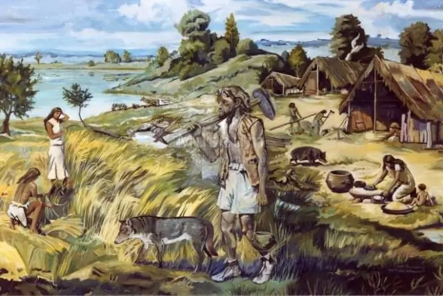 Что произошло в эпоху неолита?