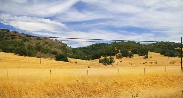 Как далеко Палм-Дезерт от Палм-Спрингс?