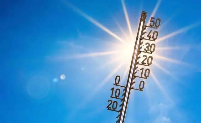 Какая температура в тайге?