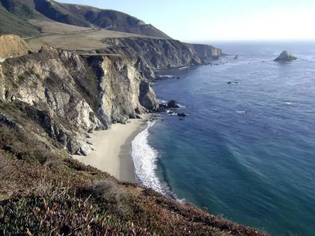 Сколько людей погибло на шоссе Тихоокеанского побережья?