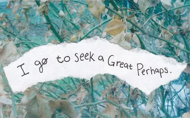 Кто написал "В поисках Аляски"?