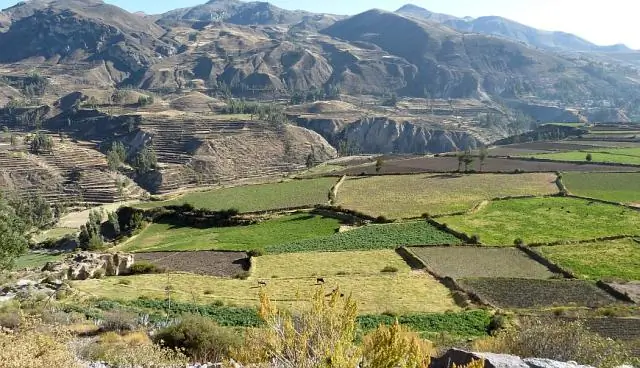 Где можно бесплатно увидеть Гранд-Каньон?