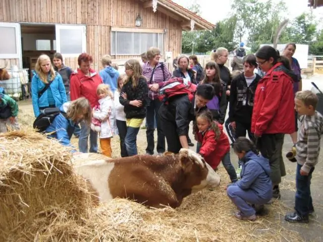 Где поезд CP Holiday?