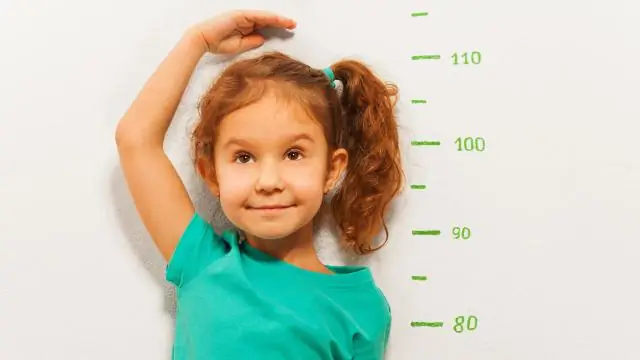 Насколько велики пакеты для сэндвичей?