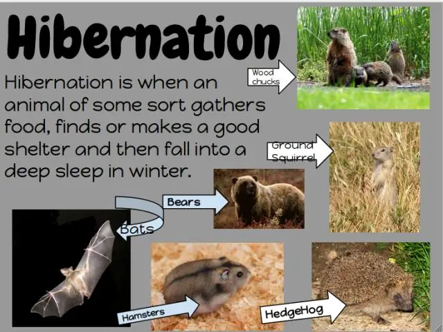 Что такое файл сопоставления Hibernate?