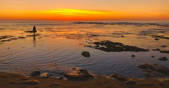 Сколько стоит парковка на пляже Сан-Онофре?