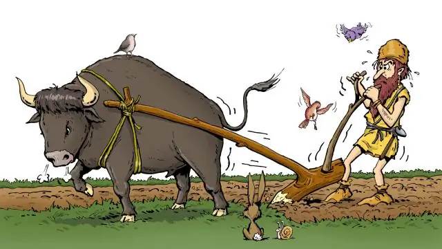 Во сколько отправляются шаттлы на Коачеллу?