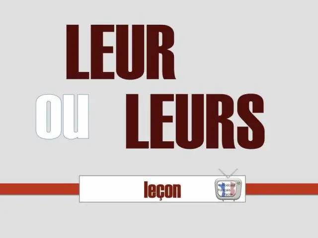 Комментарий savoir si c'est leur ou leurs?