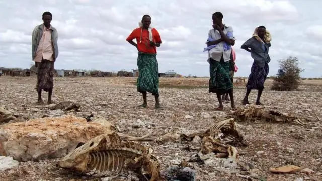 Что вызвало национализм в Африке?