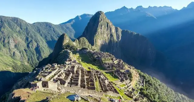 Что создало TSA?