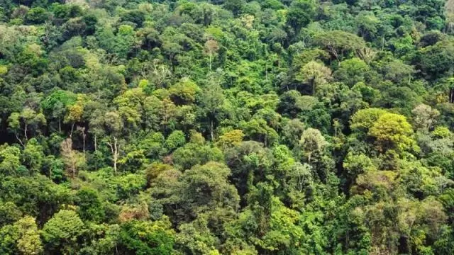 Эквадор - самая маленькая страна в Южной Америке?