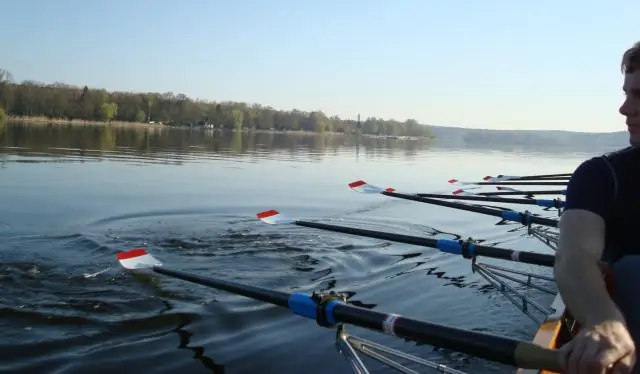 Сколько стоит членство в руке и камне?