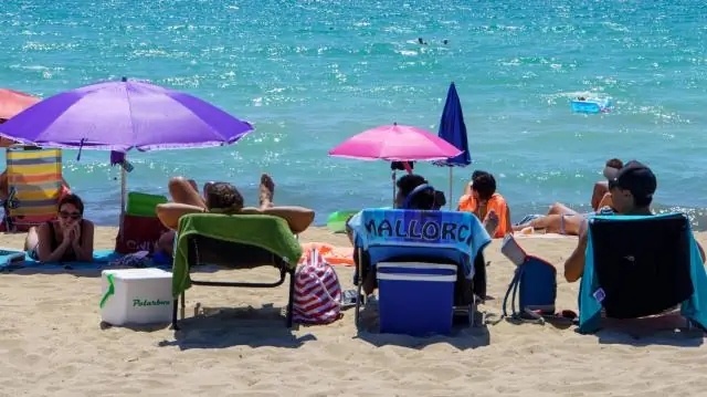 Какие 3 региона составляют Тихоокеанский регион?