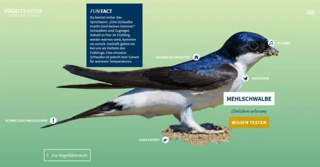 Что можно считать туалетными принадлежностями?