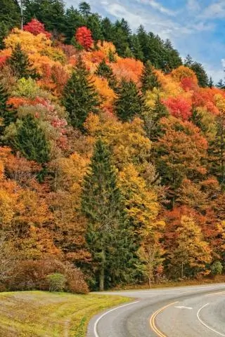 Где в США осенние листья?