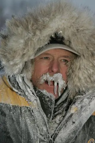 Идитарод XXXVIII Идет