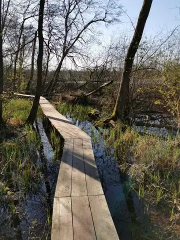 Скользко на мокрой дороге: Эван Гарсия