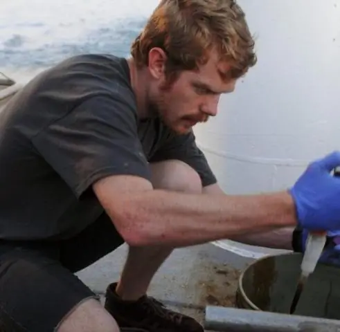 Понимание катастрофы Deepwater Horizon