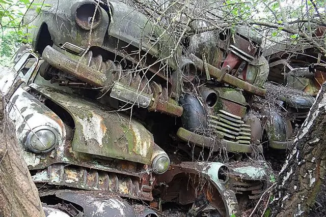 Олимпиада: 5 лучших моментов выходного дня